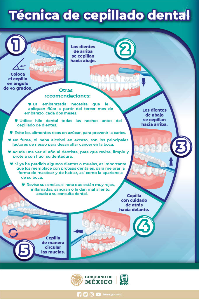 Salud Bucal (Técnica correcta cepillado dental)